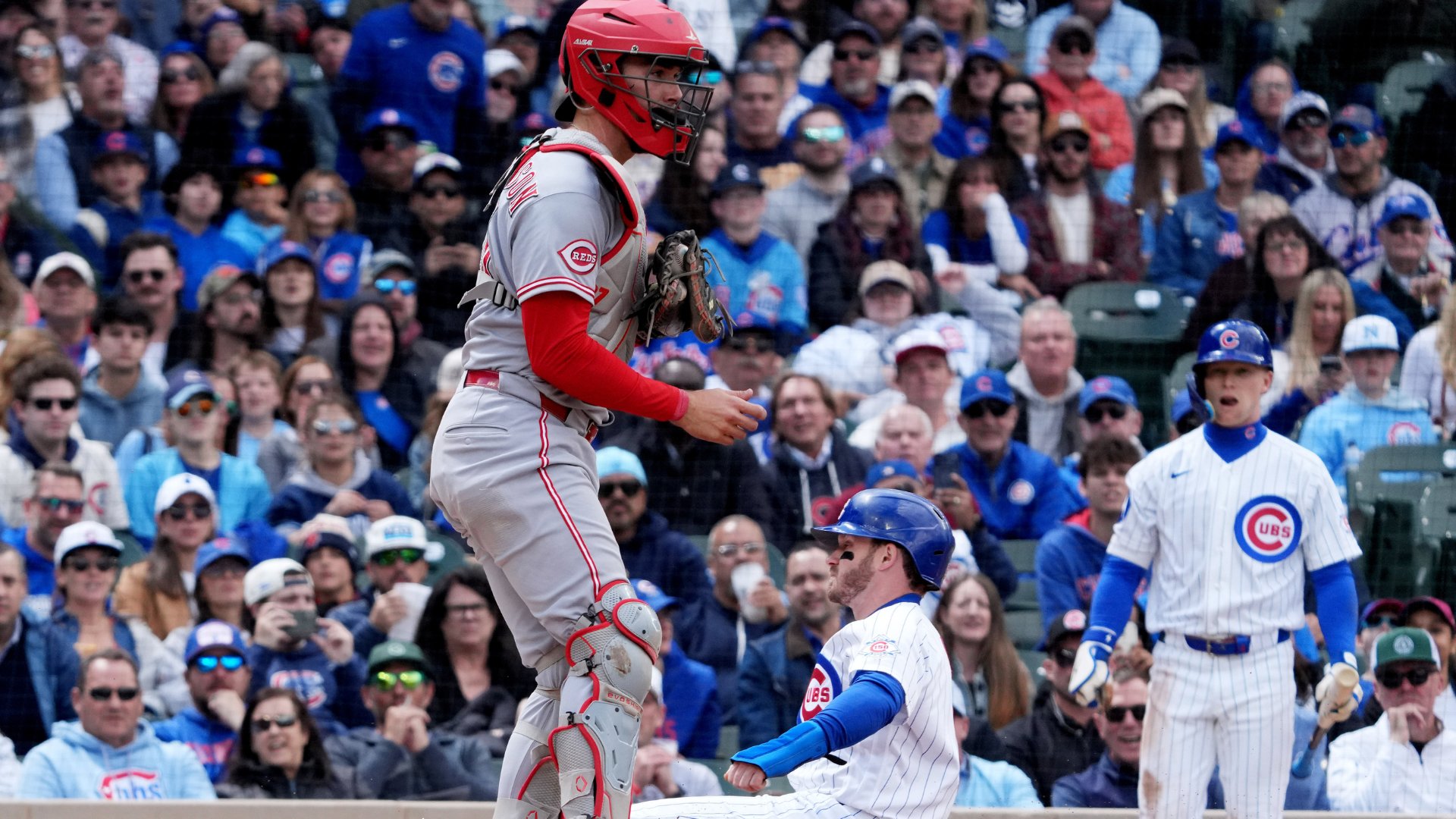 A Reds catcher in gray and red gear stands near a Cubs runner in a white pinstriped uniform at home plate, with a packed crowd watching from the stands.
