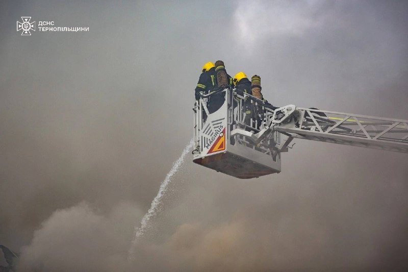 Two firefighters in yellow helmets stand in an extended aerial ladder platform marked "MAGIRUS," spraying water downward into thick smoke. A logo reading "ДСНС ТЕРНОПІЛЬЩИНИ" appears in the upper left corner.