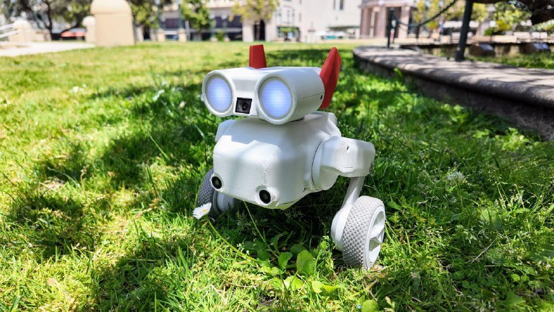 A small white robot with illuminated blue eyes, red ear-like attachments, and wheels sits on green grass with blurred buildings in the background.