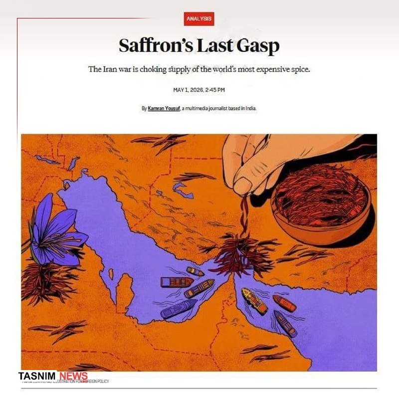 A news article titled "Saffron's Last Gasp" features an illustration of a hand dropping saffron threads into a bowl over a purple map surrounded by ships.