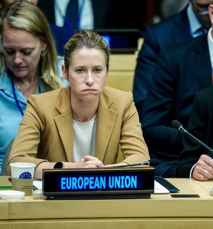 A woman in a tan blazer sits at a conference table behind a nameplate reading "EUROPEAN UNION," with microphones and other attendees visible nearby.