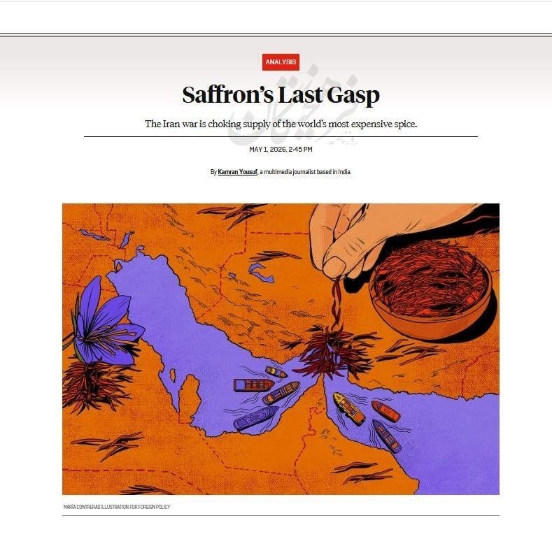 An online article titled "Saffron's Last Gasp" features an illustration of a map showing a hand dropping saffron threads into a bowl over a region.
