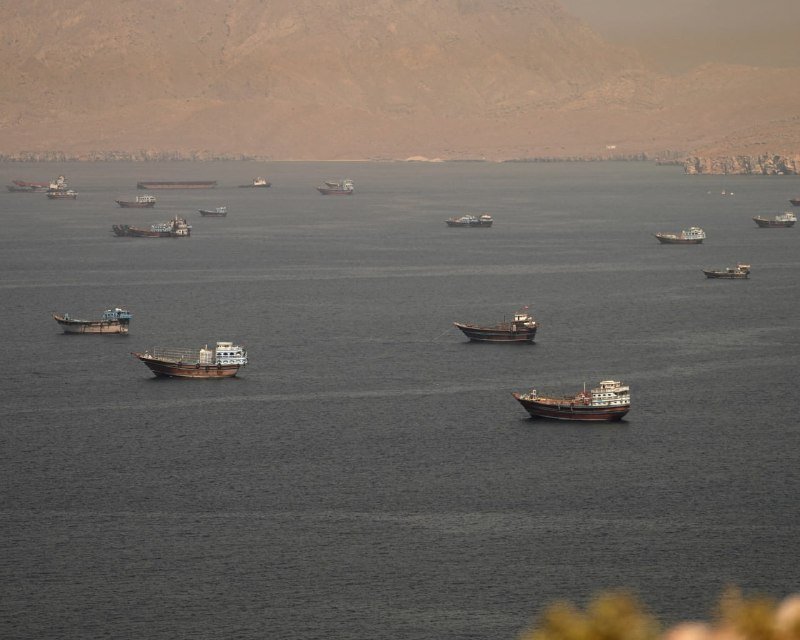 Numerous cargo ships and boats float on calm dark waters against a backdrop of hazy, sunlit mountains.