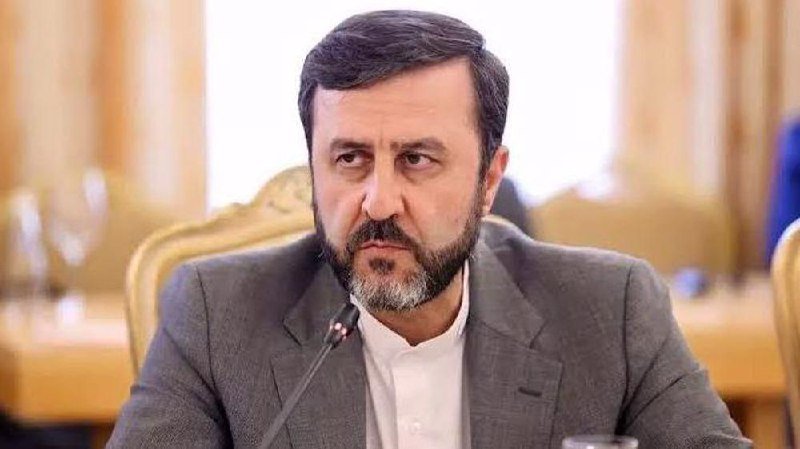 A bearded man in a gray suit jacket and white shirt speaks into a microphone at a table in a formal meeting setting.