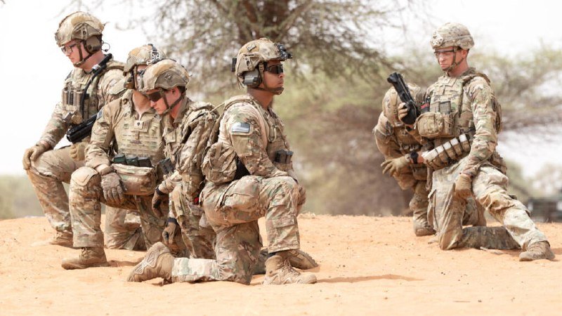 Soldiers in desert camouflage uniforms and helmets kneel in a line on sandy terrain, with one holding a rifle, against a backdrop of sparse trees and overcast sky.