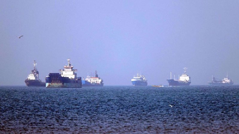 Multiple large cargo ships are anchored on the horizon across a hazy blue sea, with a bird flying in the upper left.