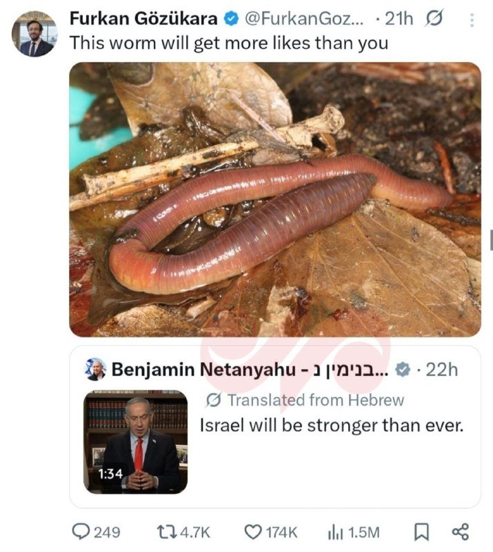 A screenshot of a social media post showing a close-up photo of an earthworm on damp leaves, with the caption "This worm will get more likes than you."