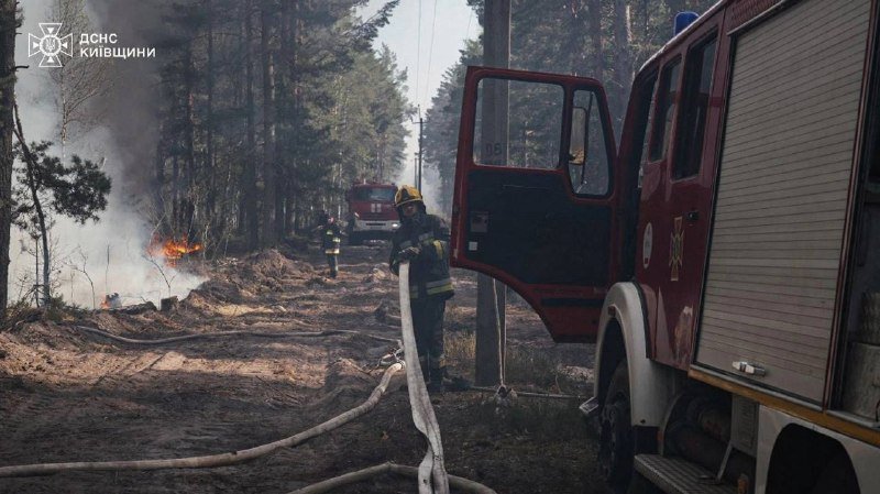 Firefighters in helmets work a forest fire near fire trucks on a dirt road lined with tall pine trees.