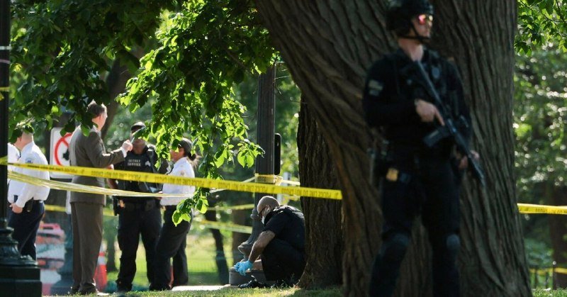 Armed police officers in tactical gear stand near yellow crime scene tape as investigators in gloves examine the ground beneath a large tree in a park.