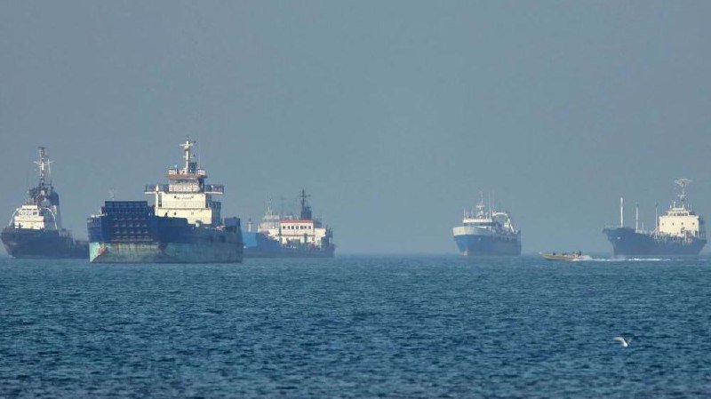 Multiple large cargo ships and a small boat are visible on hazy open water, with a seabird flying low over the surface in the foreground.