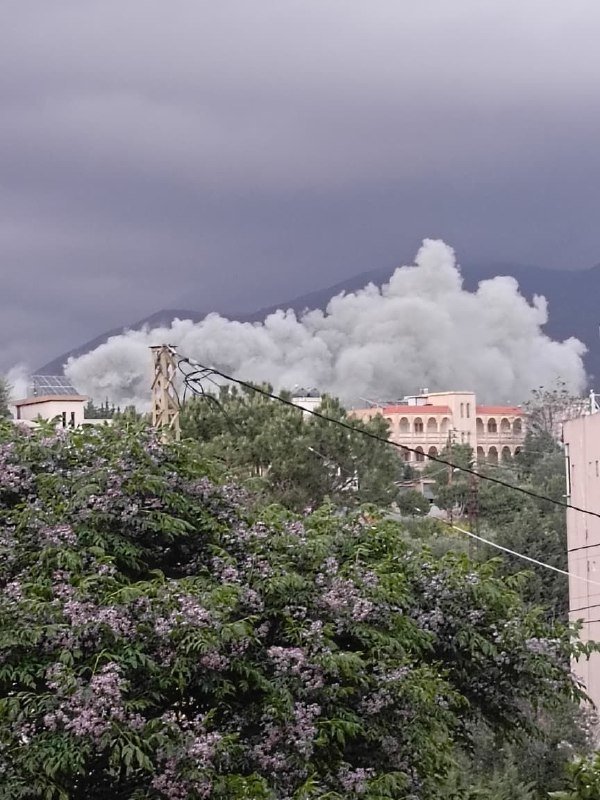 Thick white smoke billows from behind a tree line near buildings and mountains under a dark, overcast sky, with flowering bushes and power lines in the foreground.