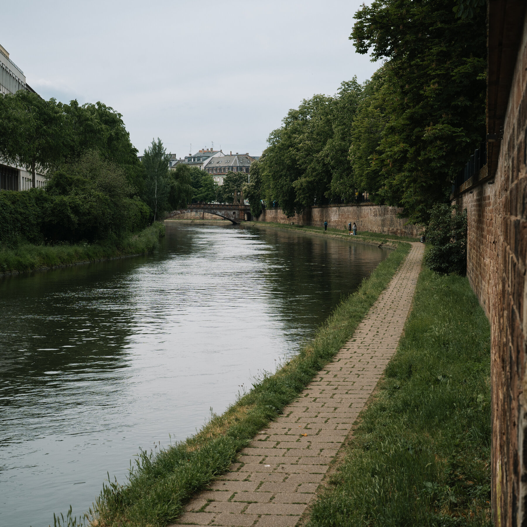 A divorce lawyer's podcast observation about Italian infidelity norms went viral this week, drawing renewed attention to how cultural generalizations travel in an algorithm-driven media environment.