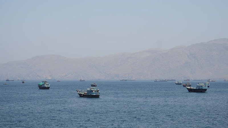 Multiple cargo ships and fishing vessels float on calm blue waters with hazy, arid mountains rising in the background under a pale sky.