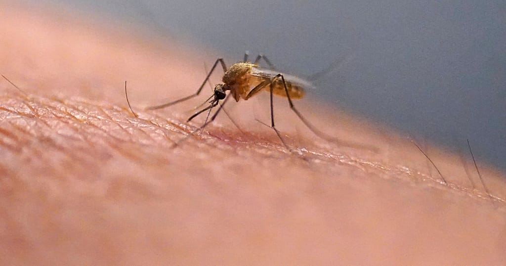 Spain has granted permission for a hantavirus-stricken cruise ship to dock at Las Palmas de Gran Canaria, as health authorities confirm a rare Andes-region strain of the virus and order the repatriation of all asymptomatic passengers.