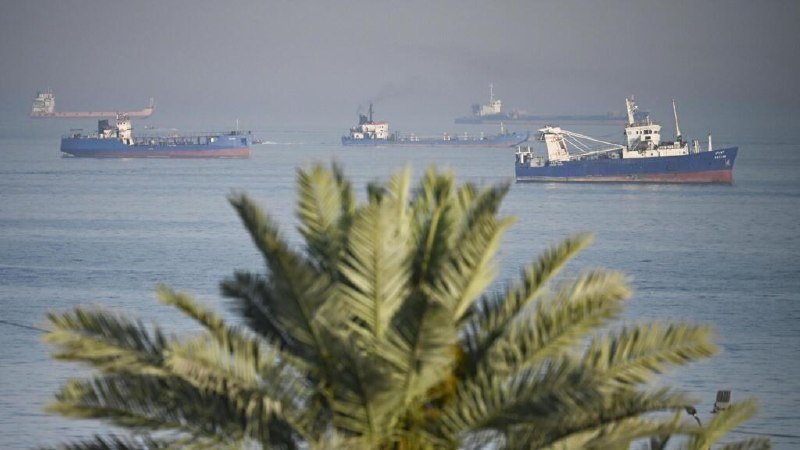 Several cargo ships are anchored on a calm, hazy sea, with a green palm tree's fronds visible in the foreground.