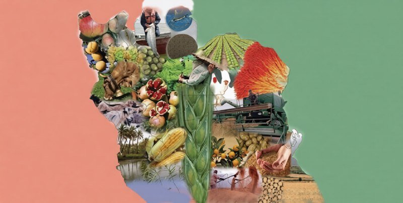 A graphic illustration shows a map silhouette filled with a collage of produce, farmland, farmers, and a person operating farm machinery.