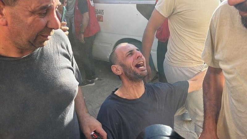 Gaza's Ministry of Health confirmed on 9 May 2026 that 50 thalassemia patients have died since October 2023 — one in every 6.7 patients in a cohort already dependent on scarce blood transfusions and chelation medication.