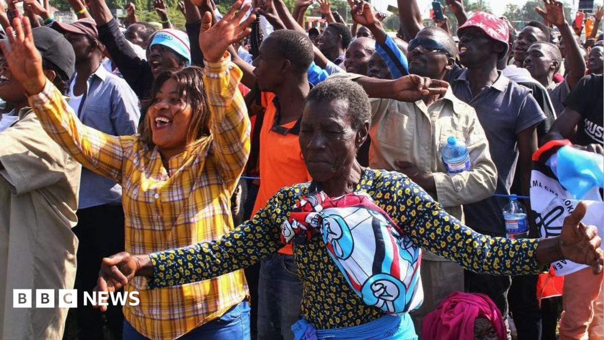 Nairobi has quietly built a small but growing pipeline sending biological samples to international laboratories — and the model has implications for how African economies position themselves in the global health supply chain.