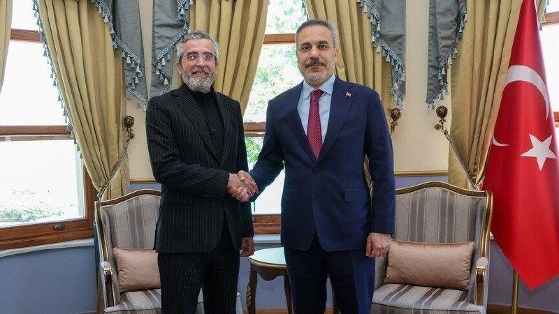 Two men in suits shake hands in a formal room with ornate curtains, upholstered chairs, and a Turkish flag visible on the right.