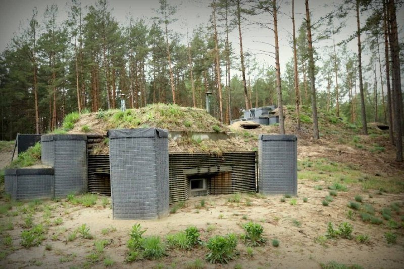A camouflaged, grass-covered bunker with brick-patterned concrete reinforcements and metal vents sits in a sandy clearing surrounded by a pine forest.