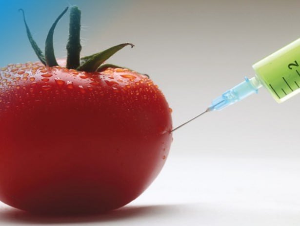 A syringe filled with green liquid is inserted into a wet, red tomato against a blue and white background.