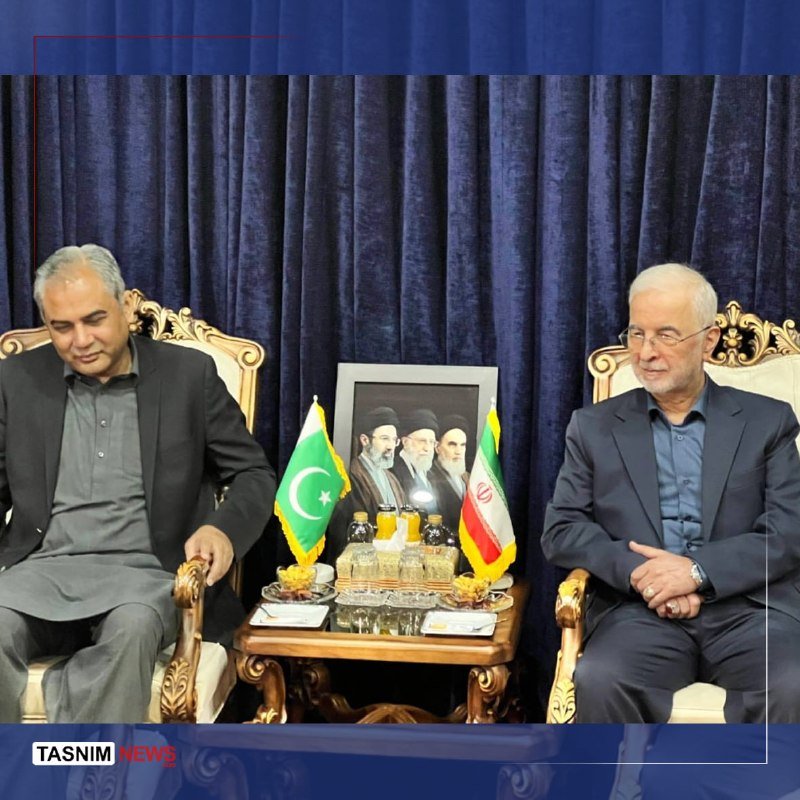 Two men sit in ornate chairs beside a table holding Pakistani and Iranian flags, with a framed portrait of three clerics displayed behind.