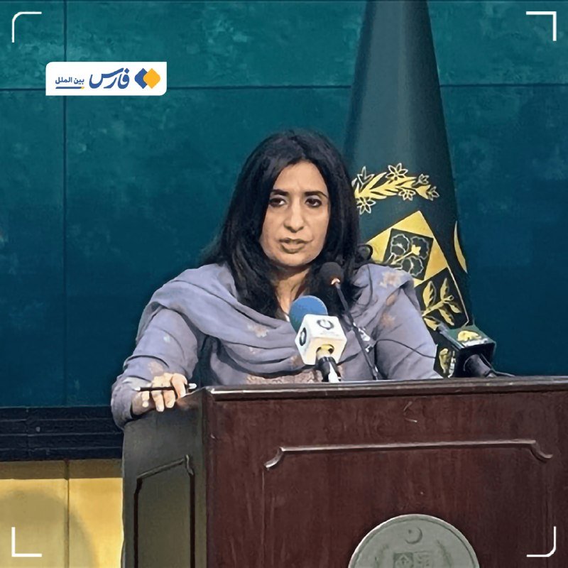A woman in a gray shawl speaks at a wooden podium with microphones, standing before a green flag with gold emblems.
