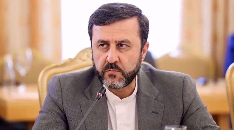 A bearded man in a gray suit and white shirt speaks into a microphone at a formal meeting, seated before ornate gold-trimmed chairs.