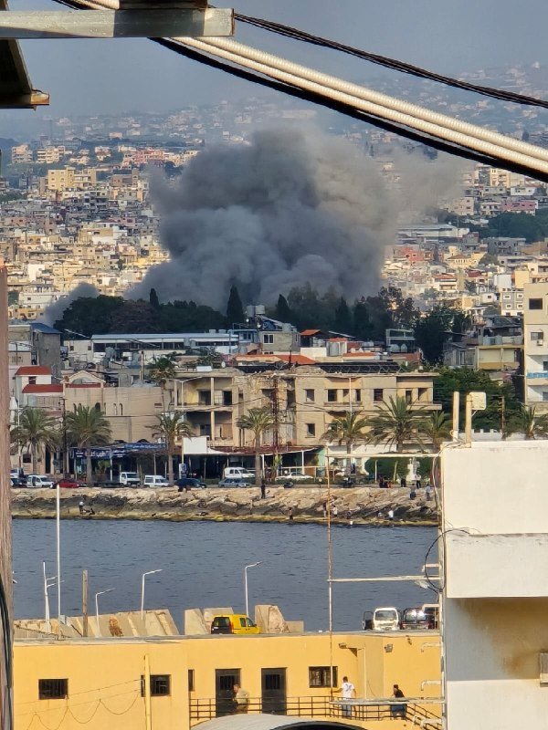 Thick gray smoke rises above a densely built coastal city with waterfront buildings, palm trees, and parked vehicles visible in the foreground.