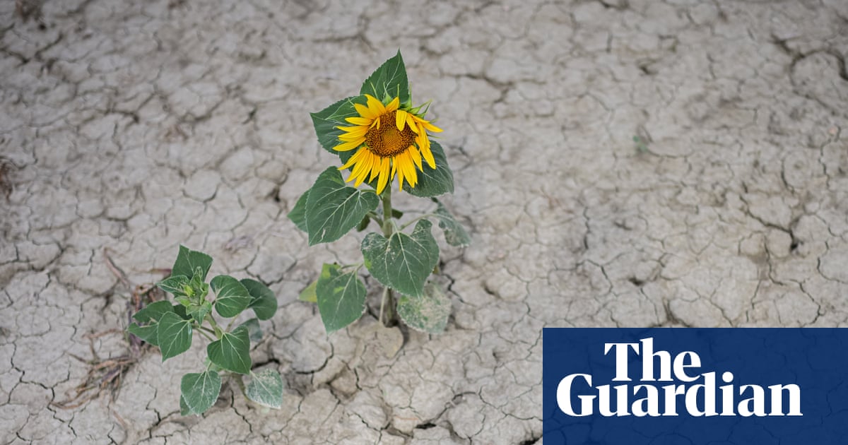 An unprecedented May heat dome is compounding long-running pressures on Mediterranean farming, as France, Italy, and Spain push Brussels toward sharper trade defences against grain and solar oversupply from eastern and asian producers.