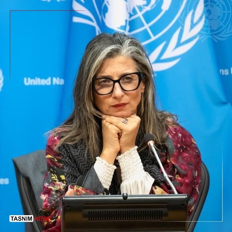 A woman with long gray-streaked hair and glasses rests her chin on her hands while seated at a microphone in front of a blue United Nations backdrop.