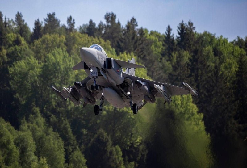 A gray fighter jet marked "291" takes off with landing gear extended over a dense green forest under a clear blue sky.