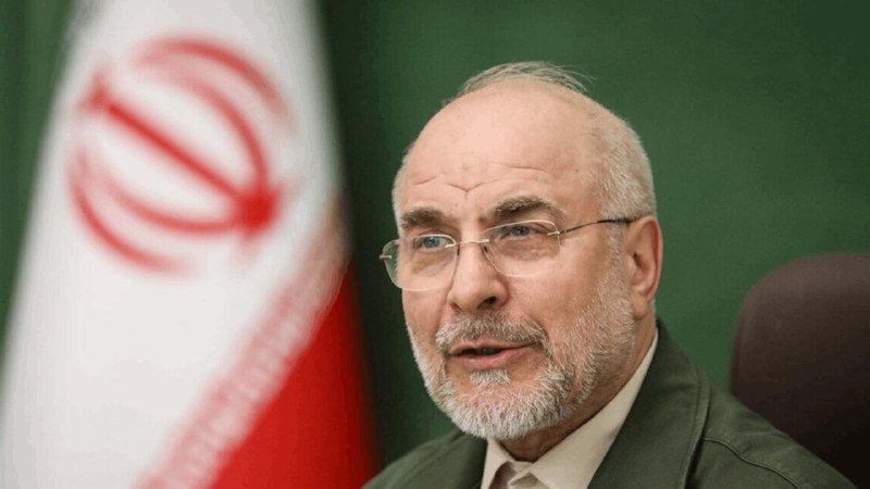A gray-bearded, bespectacled man in a dark suit speaks while seated in front of an Iranian flag and green backdrop.