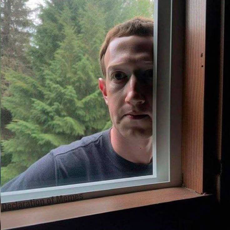 A man's reflection appears in a windowpane, with green foliage visible outside and a wooden frame labeled "Declaration of Memes" at the bottom.