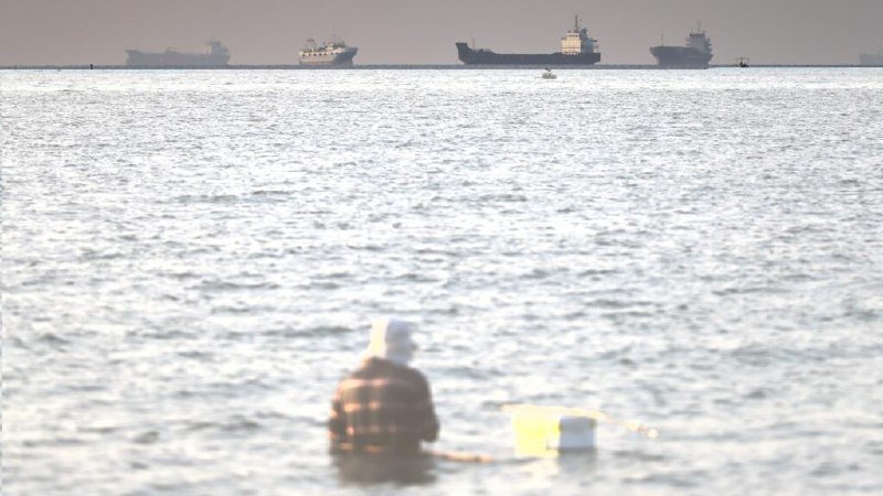 A person in a checkered shirt and white cap wades into the sea toward a yellow buoy, with several large cargo ships visible on the distant horizon.