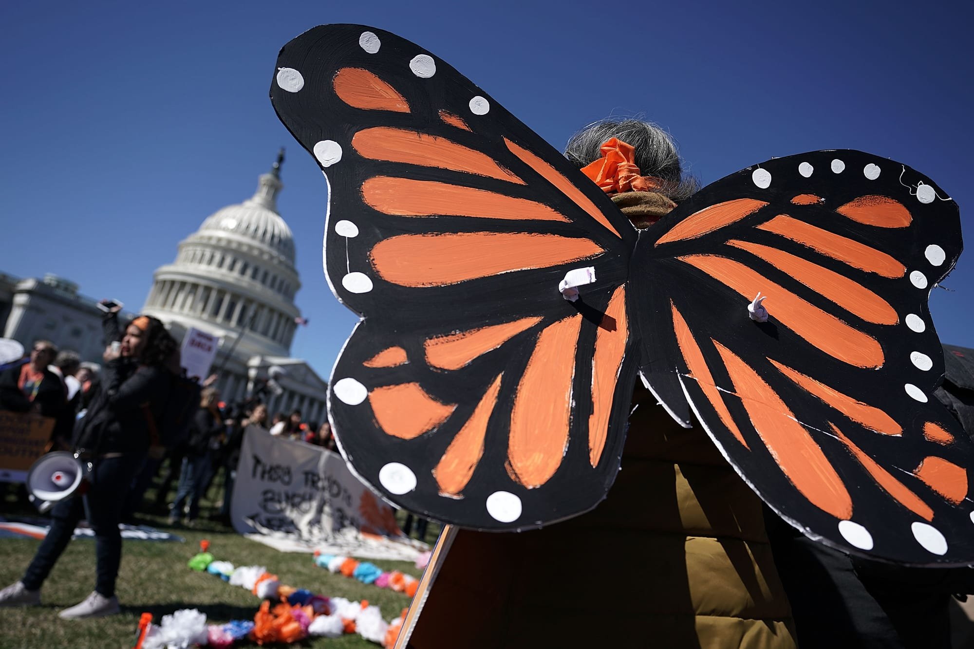A person wearing large monarch butterfly wings stands before the U.S. Capitol dome, where a crowd gathers holding protest signs and a megaphone near colorful paper decorations on the lawn.