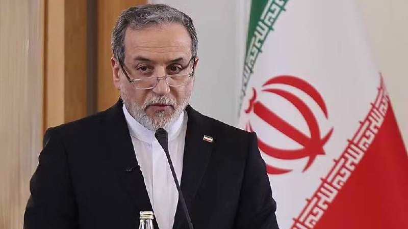 A gray-haired, bearded man in a black suit and glasses speaks at a microphone in front of an Iranian flag.
