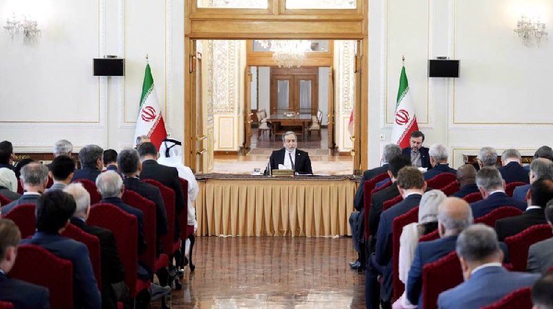 A man seated at a draped table speaks into a microphone before rows of seated attendees, flanked by two Iranian flags in an ornate hall.