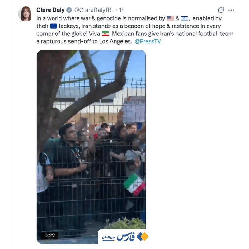 A crowd of fans cheers behind a metal fence near a tree, with a person holding a sign and another waving a green, white, and red flag in the video still.