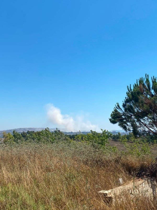A plume of white smoke rises above distant hills under a clear blue sky, with dry grass and pine trees in the foreground.