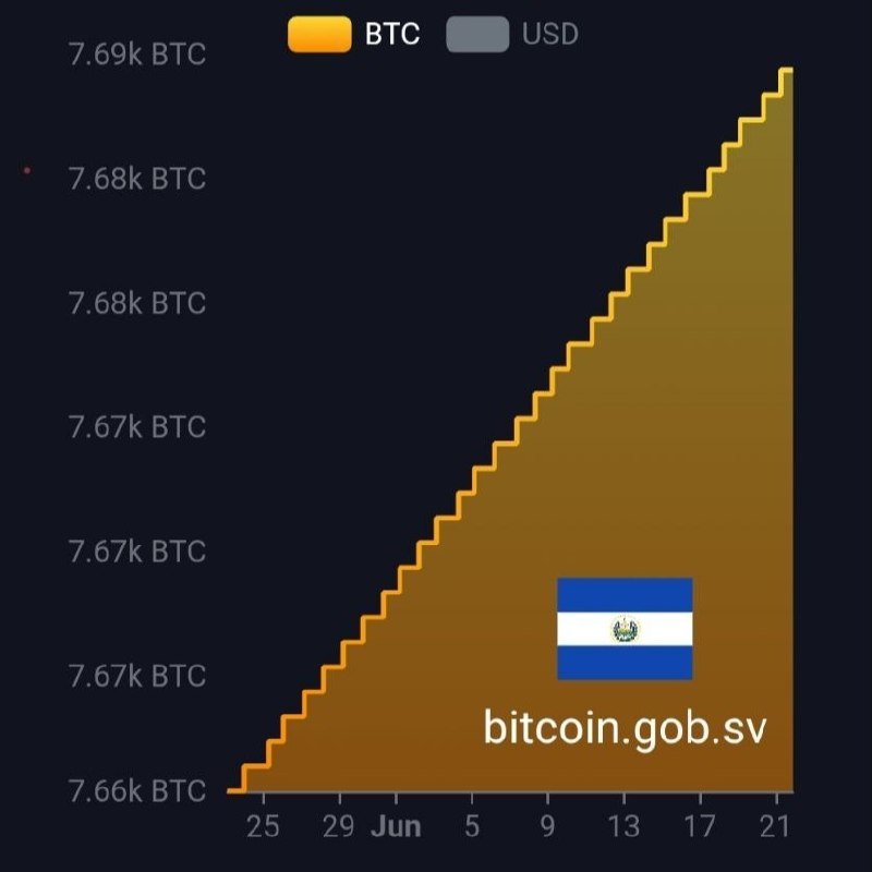 A line chart with BTC in orange and USD in gray legends shows a steadily rising staircase graph from approximately 7.66k BTC to 7.69k BTC across late June, overlaid with the El Salvador flag and "bitcoin.gob.sv" text.