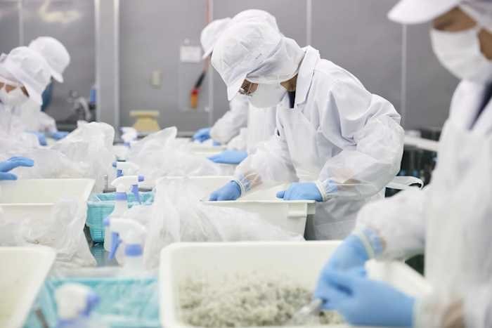 Workers in white protective clothing, masks, and blue gloves sort small items on a packaging line.