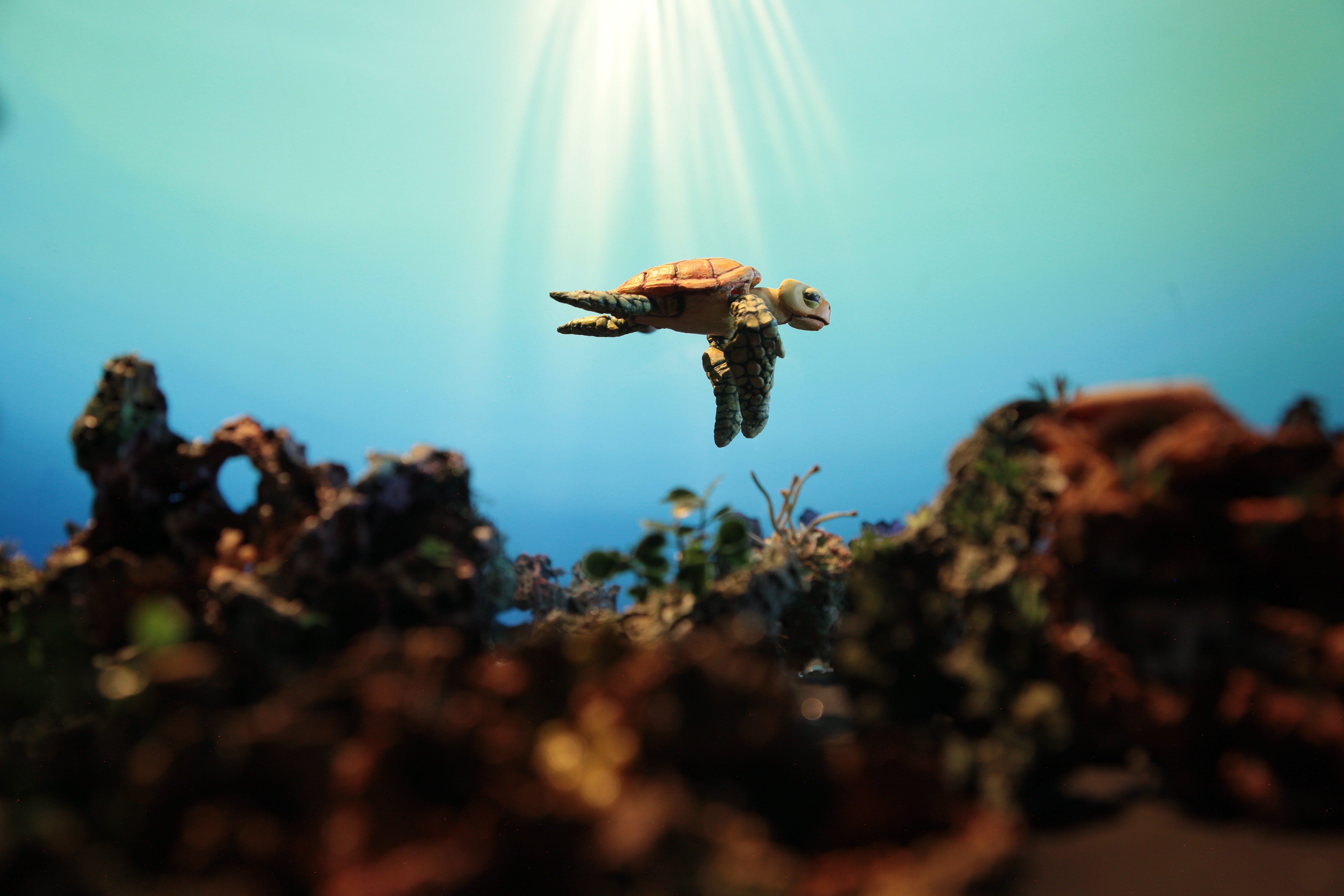 A sea turtle figurine is suspended mid-water in an aquarium, illuminated by sunbeams streaming down from above onto coral-like structures below.
