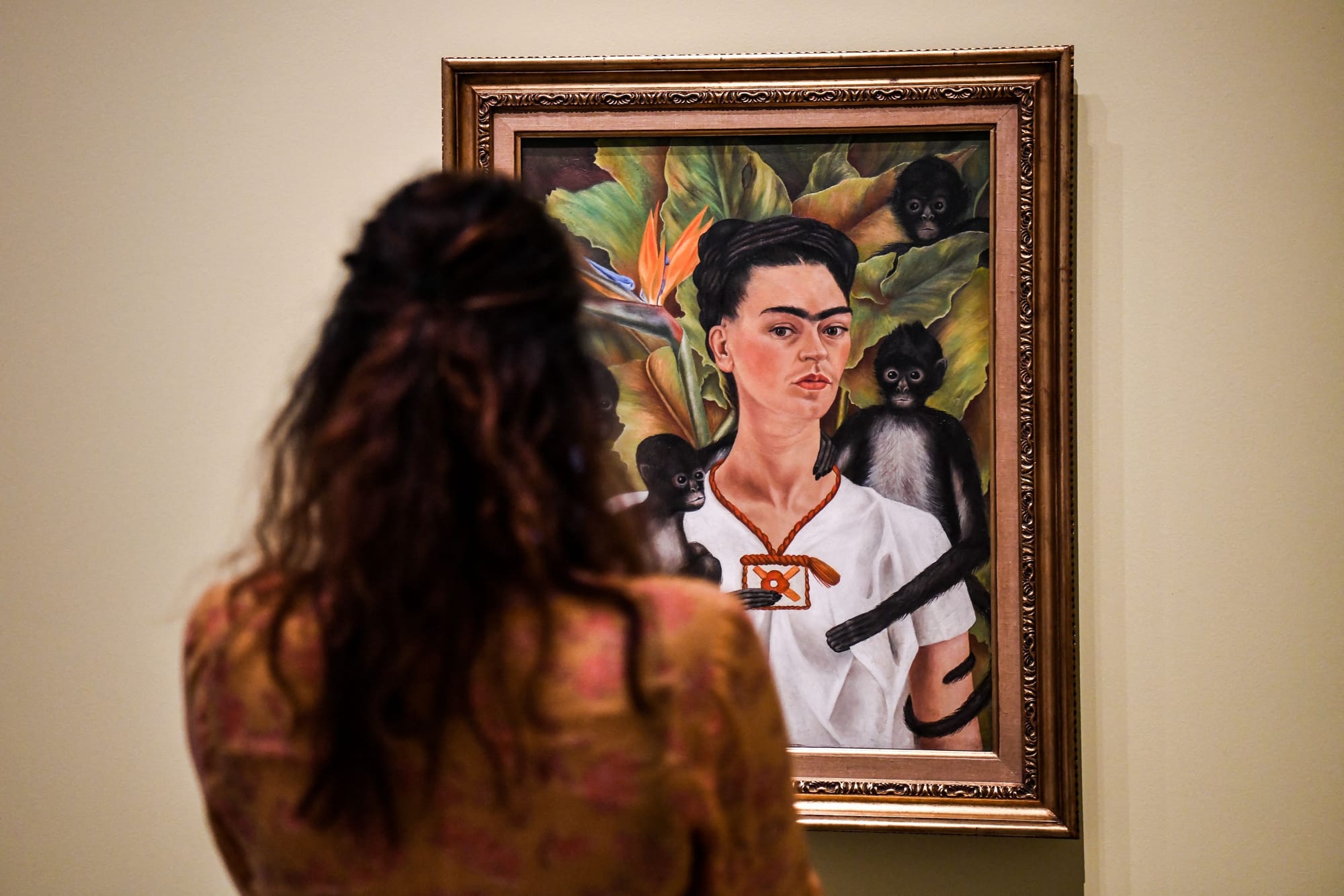 Spain's flagship photography festival opens with more than 300 artists in nearly 100 exhibitions, and the curatorial eye this year is unmistakably political.