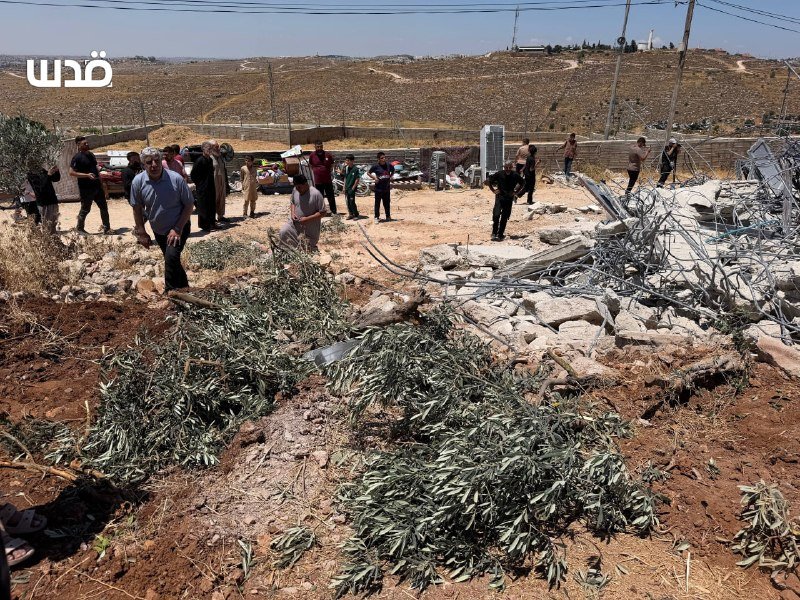 Uprooted olive trees and scattered debris lie in a dirt area as people gather near damaged fencing and rubble in a hilly, arid landscape.