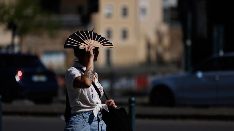 A woman holding a hand fan over her face walks along a sunlit street with parked cars and a building in the background.