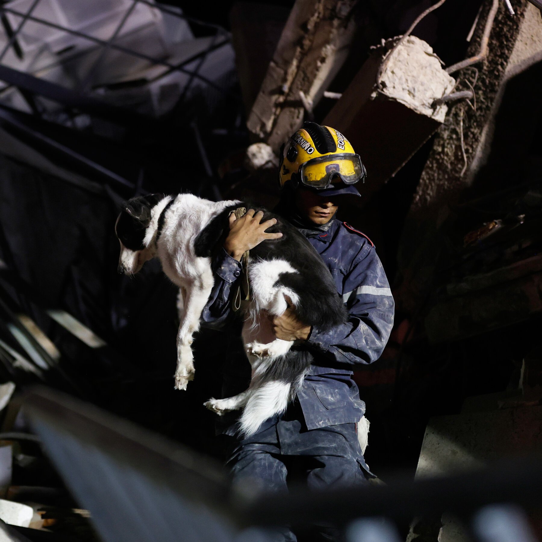 A rescue worker in a yellow helmet marked "CANINO" carries a black and white dog through rubble at a nighttime disaster site.