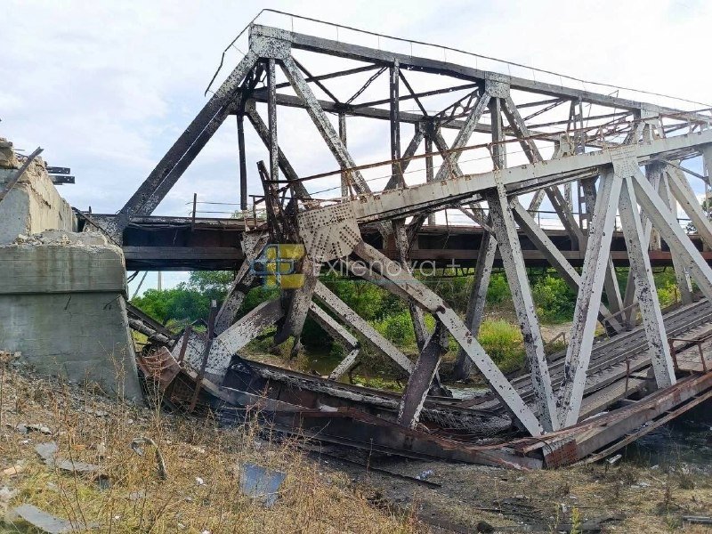 A heavily damaged and collapsed metal truss railway bridge lies amid overgrown vegetation and debris, with twisted steel beams and a broken concrete abutment visible under a cloudy sky.