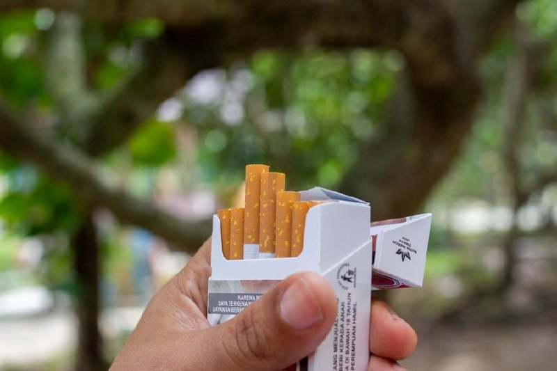 A hand holds an open pack of cigarettes outdoors with blurred green trees in the background.