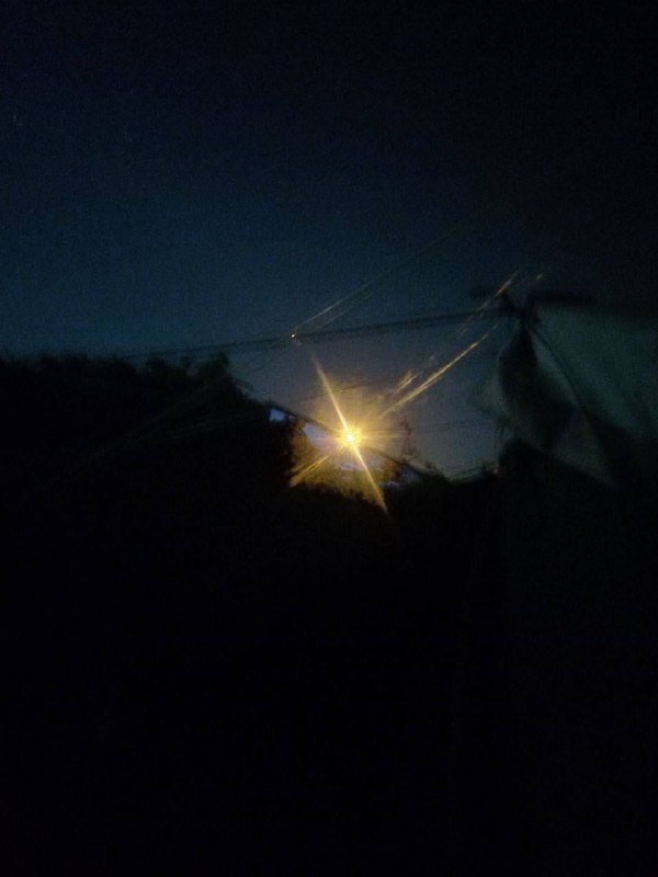 A bright light shines in the darkness behind silhouetted palm fronds and utility wires against a dark night sky.